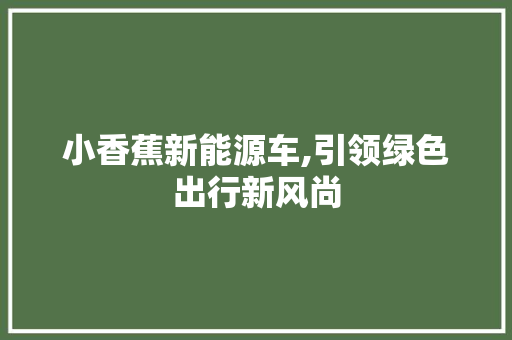 小香蕉新能源车,引领绿色出行新风尚 蓄电池配件