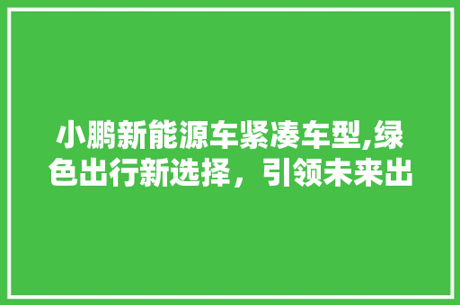 小鹏新能源车紧凑车型,绿色出行新选择，引领未来出行潮流 发动机配件