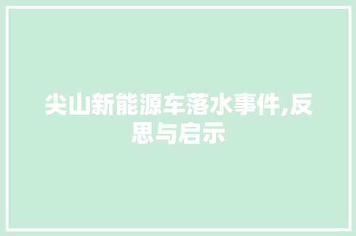 尖山新能源车落水事件,反思与启示
