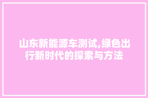 山东新能源车测试,绿色出行新时代的探索与方法