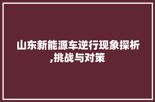 山东新能源车逆行现象探析,挑战与对策