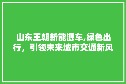 山东王朝新能源车,绿色出行，引领未来城市交通新风尚