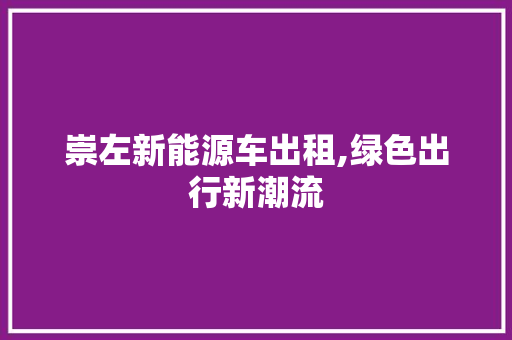 崇左新能源车出租,绿色出行新潮流