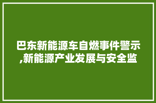 巴东新能源车自燃事件警示,新能源产业发展与安全监管的双重挑战