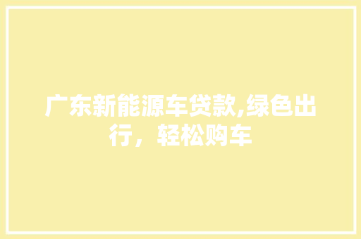 广东新能源车贷款,绿色出行，轻松购车