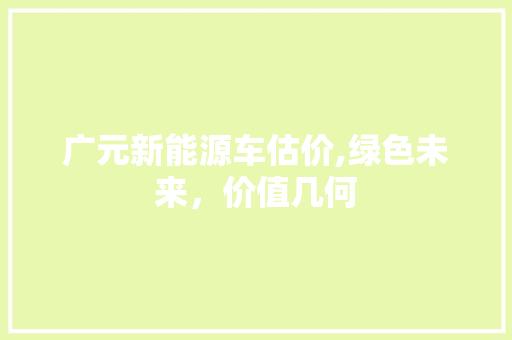广元新能源车估价,绿色未来，价值几何