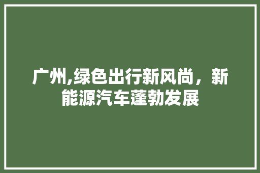 广州,绿色出行新风尚，新能源汽车蓬勃发展