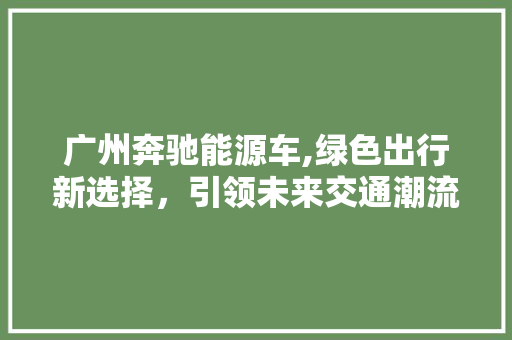 广州奔驰能源车,绿色出行新选择，引领未来交通潮流