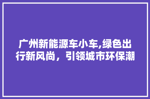 广州新能源车小车,绿色出行新风尚，引领城市环保潮流