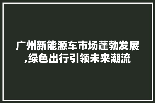 广州新能源车市场蓬勃发展,绿色出行引领未来潮流