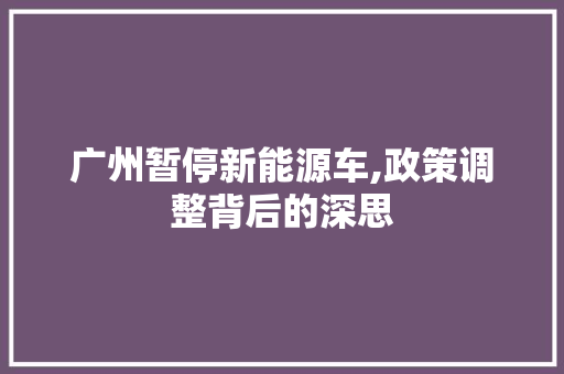 广州暂停新能源车,政策调整背后的深思