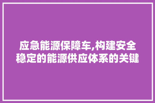 应急能源保障车,构建安全稳定的能源供应体系的关键力量