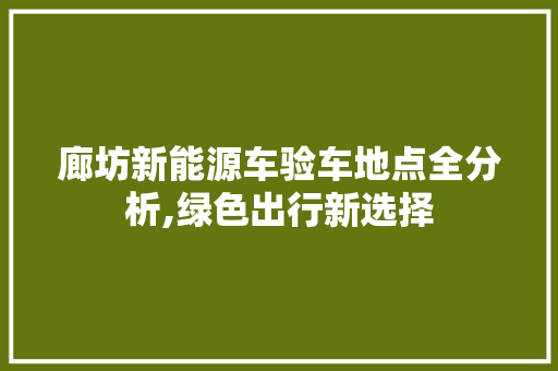 廊坊新能源车验车地点全分析,绿色出行新选择