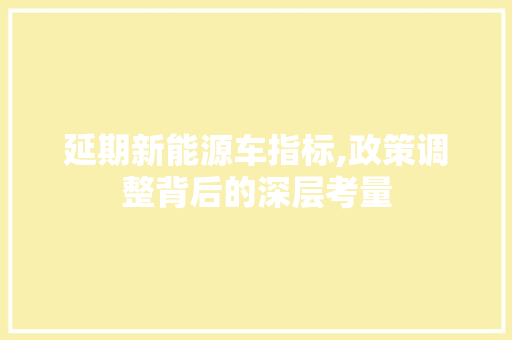 延期新能源车指标,政策调整背后的深层考量