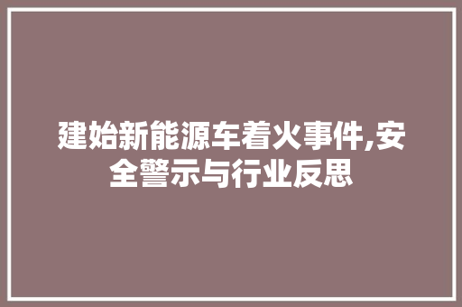 建始新能源车着火事件,安全警示与行业反思