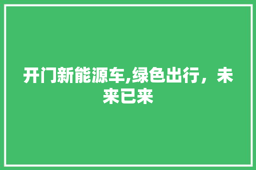 开门新能源车,绿色出行，未来已来