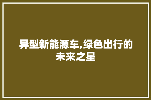 异型新能源车,绿色出行的未来之星