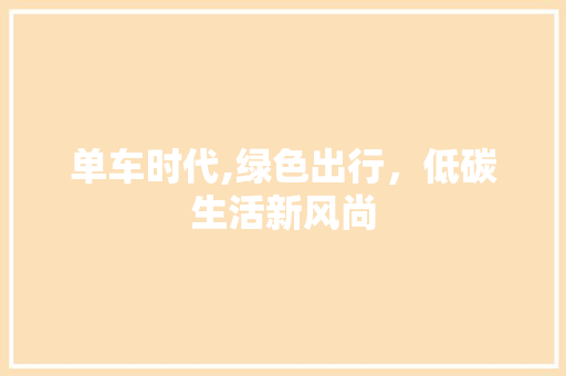 单车时代,绿色出行，低碳生活新风尚 车身配件