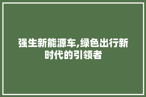 强生新能源车,绿色出行新时代的引领者