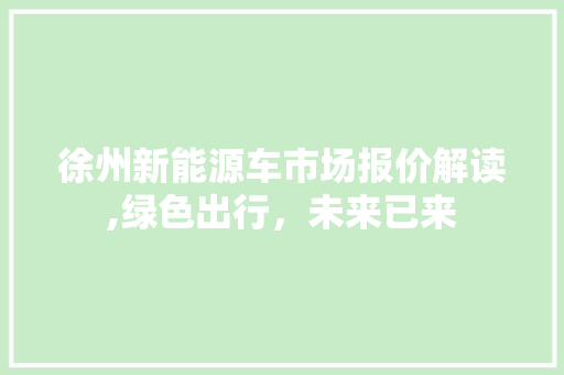徐州新能源车市场报价解读,绿色出行，未来已来