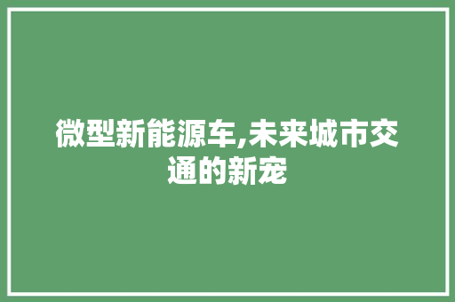 微型新能源车,未来城市交通的新宠