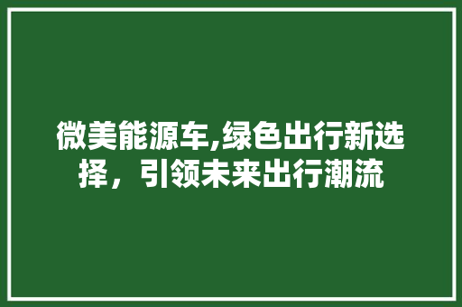 微美能源车,绿色出行新选择，引领未来出行潮流