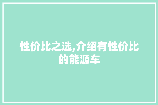 性价比之选,介绍有性价比的能源车