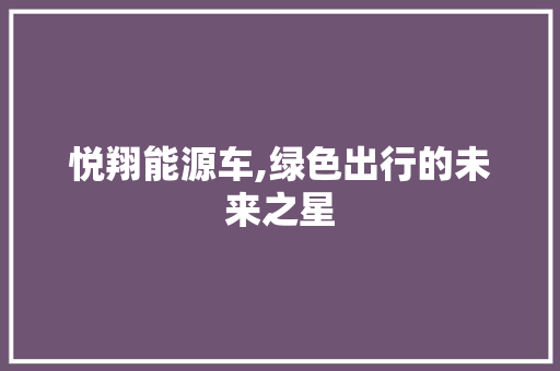 悦翔能源车,绿色出行的未来之星