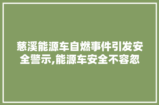 慈溪能源车自燃事件引发安全警示,能源车安全不容忽视