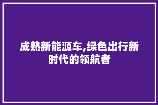 成熟新能源车,绿色出行新时代的领航者