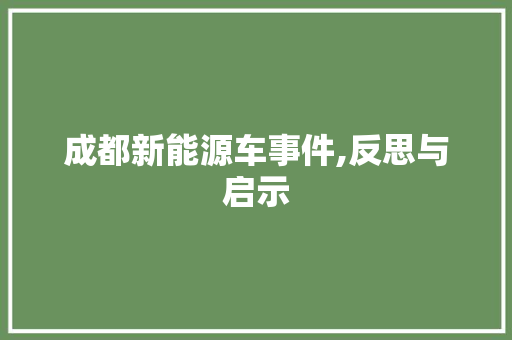 成都新能源车事件,反思与启示