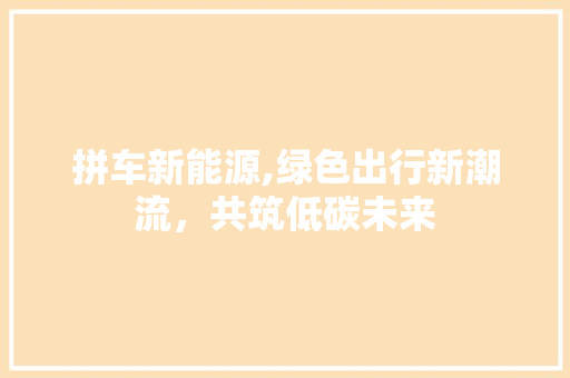 拼车新能源,绿色出行新潮流，共筑低碳未来