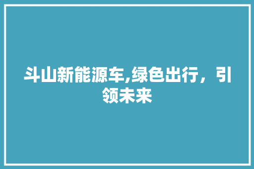 斗山新能源车,绿色出行，引领未来