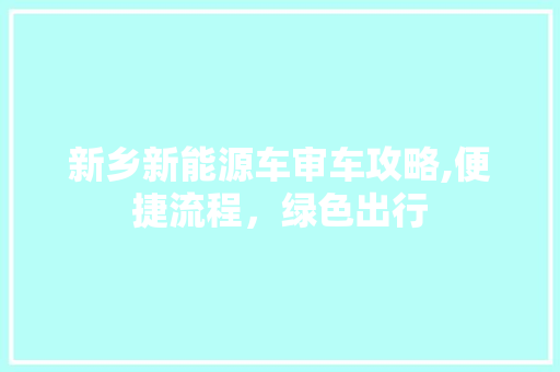 新乡新能源车审车攻略,便捷流程，绿色出行