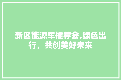 新区能源车推荐会,绿色出行，共创美好未来