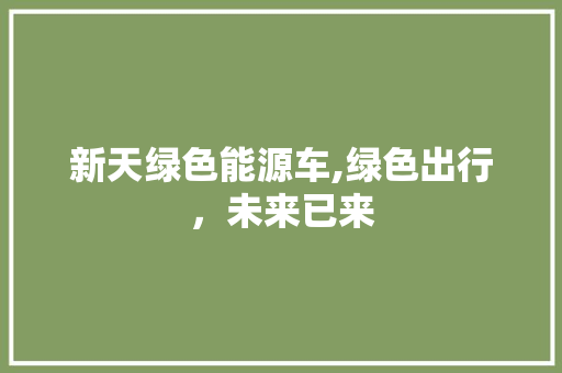 新天绿色能源车,绿色出行，未来已来