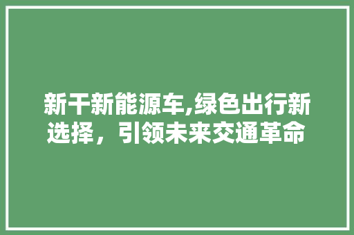新干新能源车,绿色出行新选择，引领未来交通革命