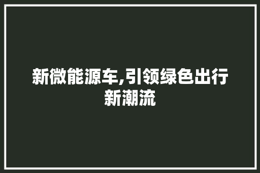 新微能源车,引领绿色出行新潮流