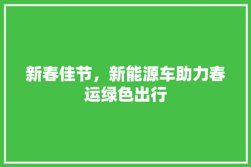 新春佳节，新能源车助力春运绿色出行