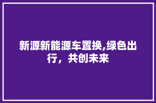 新源新能源车置换,绿色出行，共创未来