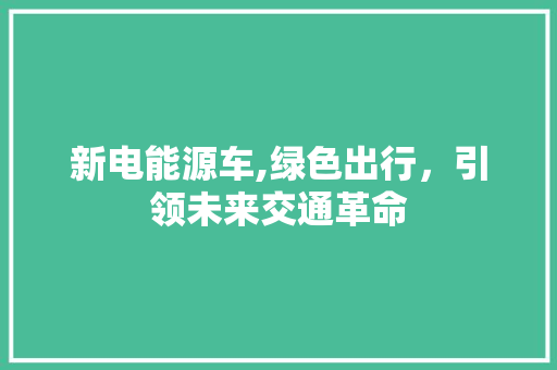 新电能源车,绿色出行，引领未来交通革命