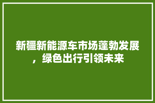 新疆新能源车市场蓬勃发展，绿色出行引领未来
