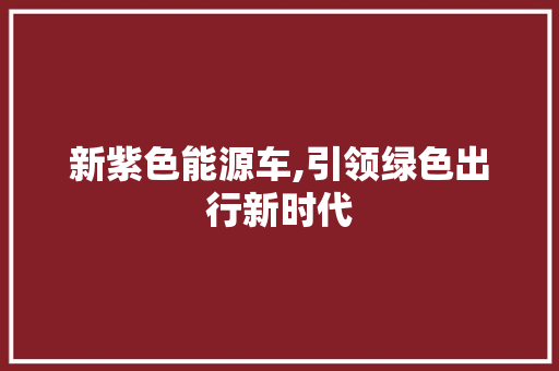 新紫色能源车,引领绿色出行新时代