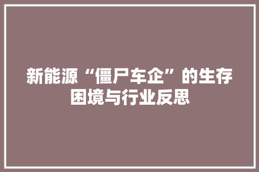 新能源“僵尸车企”的生存困境与行业反思