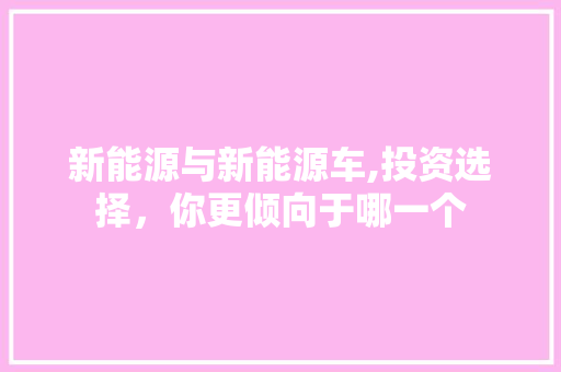 新能源与新能源车,投资选择，你更倾向于哪一个