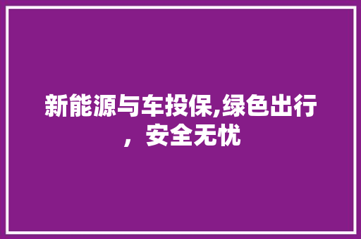 新能源与车投保,绿色出行，安全无忧