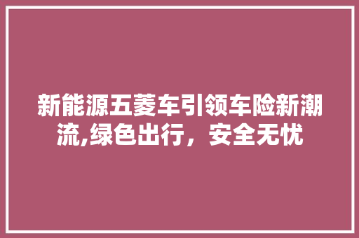 新能源五菱车引领车险新潮流,绿色出行，安全无忧
