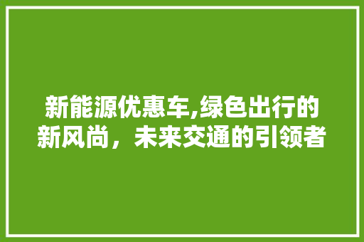 新能源优惠车,绿色出行的新风尚，未来交通的引领者