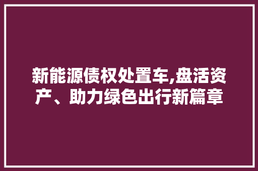 新能源债权处置车,盘活资产、助力绿色出行新篇章