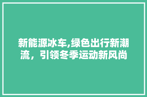 新能源冰车,绿色出行新潮流，引领冬季运动新风尚